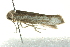  ( - BIOUG02128-B01)  @12 [ ] CreativeCommons - Attribution (2012) CBG Photography Group Centre for Biodiversity Genomics