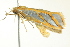  ( - BIOUG02128-D01)  @13 [ ] CreativeCommons - Attribution (2012) CBG Photography Group Centre for Biodiversity Genomics