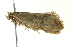  ( - BIOUG02128-D03)  @13 [ ] CreativeCommons - Attribution (2012) CBG Photography Group Centre for Biodiversity Genomics