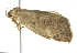  ( - BIOUG02128-F10)  @13 [ ] CreativeCommons - Attribution (2012) CBG Photography Group Centre for Biodiversity Genomics