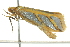  ( - BIOUG02184-H05)  @13 [ ] CreativeCommons - Attribution (2012) CBG Photography Group Centre for Biodiversity Genomics