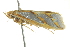  ( - BIOUG02184-H07)  @13 [ ] CreativeCommons - Attribution (2012) CBG Photography Group Centre for Biodiversity Genomics