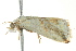  ( - BIOUG02185-C07)  @14 [ ] CreativeCommons - Attribution (2012) CBG Photography Group Centre for Biodiversity Genomics