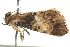  ( - BIOUG02185-D04)  @12 [ ] CreativeCommons - Attribution (2012) CBG Photography Group Centre for Biodiversity Genomics