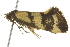  ( - BIOUG02186-E10)  @13 [ ] CreativeCommons - Attribution (2012) CBG Photography Group Centre for Biodiversity Genomics
