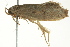  ( - BIOUG02186-F04)  @13 [ ] CreativeCommons - Attribution (2012) CBG Photography Group Centre for Biodiversity Genomics