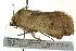  ( - BIOUG02187-C03)  @13 [ ] CreativeCommons - Attribution (2012) CBG Photography Group Centre for Biodiversity Genomics
