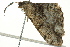  ( - BIOUG02187-E05)  @12 [ ] CreativeCommons - Attribution (2012) CBG Photography Group Centre for Biodiversity Genomics