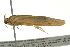  ( - BIOUG02188-B02)  @13 [ ] CreativeCommons - Attribution (2012) CBG Photography Group Centre for Biodiversity Genomics