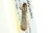  ( - BIOUG02188-B10)  @13 [ ] CreativeCommons - Attribution (2012) CBG Photography Group Centre for Biodiversity Genomics