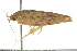  ( - BIOUG02188-C10)  @13 [ ] CreativeCommons - Attribution (2012) CBG Photography Group Centre for Biodiversity Genomics