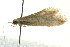  ( - BIOUG02243-G05)  @12 [ ] CreativeCommons - Attribution (2012) CBG Photography Group Centre for Biodiversity Genomics