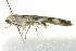  ( - CCDB-12828-G02)  @12 [ ] CreativeCommons - Attribution (2012) CBG Photography Group Centre for Biodiversity Genomics