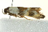  ( - BIOUG02247-E08)  @13 [ ] CreativeCommons - Attribution (2012) CBG Photography Group Centre for Biodiversity Genomics