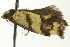  ( - BIOUG02247-E12)  @13 [ ] CreativeCommons - Attribution (2012) CBG Photography Group Centre for Biodiversity Genomics