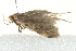  ( - CCDB-15380-F03)  @12 [ ] CreativeCommons - Attribution (2012) CBG Photography Group Centre for Biodiversity Genomics
