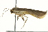  ( - BIOUG02092-G03)  @12 [ ] CreativeCommons - Attribution (2012) CBG Photography Group Centre for Biodiversity Genomics