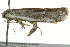  ( - BIOUG02092-H04)  @12 [ ] CreativeCommons - Attribution (2012) CBG Photography Group Centre for Biodiversity Genomics