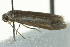  ( - BIOUG02124-C07)  @13 [ ] CreativeCommons - Attribution (2012) CBG Photography Group Centre for Biodiversity Genomics