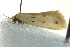  ( - BIOUG02124-C09)  @12 [ ] CreativeCommons - Attribution (2012) CBG Photography Group Centre for Biodiversity Genomics