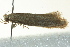  ( - BIOUG02124-F08)  @12 [ ] CreativeCommons - Attribution (2012) CBG Photography Group Centre for Biodiversity Genomics
