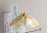  (Blastobasis luteella - TLMF Lep 04759)  @13 [ ] CreativeCommons - Attribution Non-Commercial Share-Alike (2011) Peter Huemer Tiroler Landesmuseum Ferdinandeum