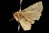  ( - 04HBL007761)  @13 [ ] CreativeCommons - Attribution (2010) Unspecified Centre for Biodiversity Genomics