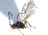  ( - 10PHMAL-3217)  @14 [ ] CreativeCommons - Attribution (2014) CBG Photography Group Centre for Biodiversity Genomics