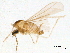  ( - 10PHMAL-3113)  @12 [ ] CreativeCommons - Attribution (2012) CBG Photography Group Centre for Biodiversity Genomics
