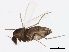  ( - 10PHMAL-3444)  @13 [ ] CreativeCommons - Attribution (2012) CBG Photography Group Centre for Biodiversity Genomics