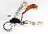  ( - BIOUG00854-F12)  @14 [ ] CreativeCommons - Attribution (2011) CBG Photography Group Centre for Biodiversity Genomics
