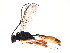  ( - BIOUG00861-F02)  @14 [ ] CreativeCommons - Attribution (2011) CBG Photography Group Centre for Biodiversity Genomics