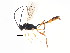  ( - BIOUG00861-F12)  @13 [ ] CreativeCommons - Attribution (2011) CBG Photography Group Centre for Biodiversity Genomics
