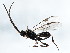  ( - BIOUG00786-E12)  @14 [ ] CreativeCommons - Attribution (2011) CBG Photography Group Centre for Biodiversity Genomics