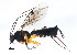  ( - BIOUG00821-H02)  @13 [ ] CreativeCommons - Attribution (2011) CBG Photography Group Centre for Biodiversity Genomics
