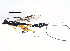  ( - BIOUG00823-F10)  @13 [ ] CreativeCommons - Attribution (2011) CBG Photography Group Centre for Biodiversity Genomics
