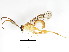  ( - BIOUG00846-B07)  @13 [ ] CreativeCommons - Attribution (2011) CBG Photography Group Centre for Biodiversity Genomics