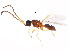  ( - BIOUG00862-B12)  @14 [ ] CreativeCommons - Attribution (2011) CBG Photography Group Centre for Biodiversity Genomics