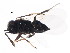  ( - BIOUG00862-C06)  @12 [ ] CreativeCommons - Attribution (2011) CBG Photography Group Centre for Biodiversity Genomics