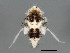  ( - BIOUG00941-A05)  @12 [ ] CreativeCommons - Attribution (2011) CBG Photography Group Centre for Biodiversity Genomics