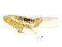  ( - BIOUG00941-A07)  @14 [ ] CreativeCommons - Attribution (2011) CBG Photography Group Centre for Biodiversity Genomics
