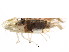  (Hymetta - BIOUG00941-G10)  @14 [ ] CreativeCommons - Attribution (2011) CBG Photography Group Centre for Biodiversity Genomics