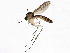  ( - BIOUG01581-H03)  @12 [ ] CreativeCommons - Attribution (2012) CBG Photography Group Centre for Biodiversity Genomics