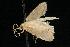  ( - moth104.02)  @12 [ ] CreativeCommons - Attribution (2010) Unspecified Centre for Biodiversity Genomics
