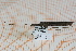  ( - Ph418)  @11 [ ] No Rights Reserved  Unspecified Unspecified