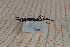  ( - Ph46)  @11 [ ] No Rights Reserved  Unspecified Unspecified