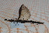  ( - Ph50)  @11 [ ] No Rights Reserved  Unspecified Unspecified