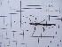  ( - Ph51)  @11 [ ] No Rights Reserved  Unspecified Unspecified
