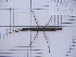  ( - Ph69)  @11 [ ] No Rights Reserved  Unspecified Unspecified
