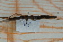  ( - Ph8)  @11 [ ] No Rights Reserved  Unspecified Unspecified
